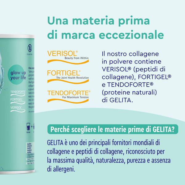 Collagene in polvere materia prima