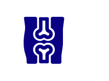 Ossa & articolazioni
