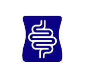 Digestione & funzione intestinale