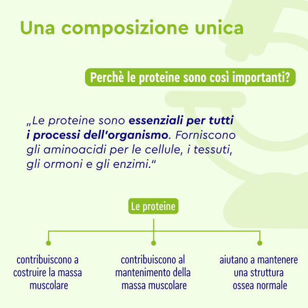 Il testo grafico verde intitolato &quot;Una composizione unica&quot; evidenzia il ruolo di Proteine in polvere Nougat Love di gloryfeel Italia nel supportare i processi corporei, aiutando nel mantenimento della massa muscolare e nella normale struttura ossea.