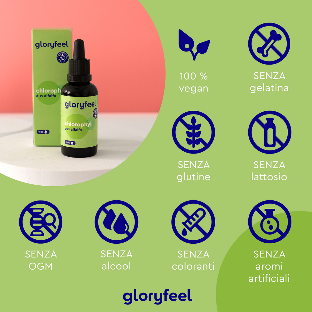 Una bottiglia e una scatola di Clorofilla in gocce di GloryFeel GmbH Italia, con icone che indicano che è vegano e privo di gelatina, glutine, lattosio, OGM, alcol, coloranti e aromi artificiali: ideale per una soluzione detossificante naturale.