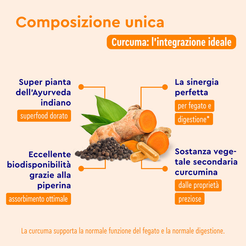 Composizione della curcuma in polvere gloryfeel