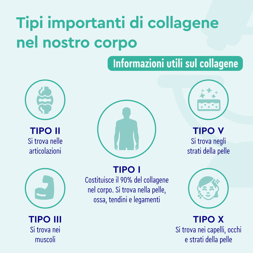 Tipi di collagene 