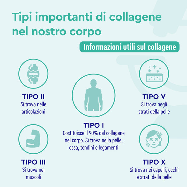 Tipi di collagene 