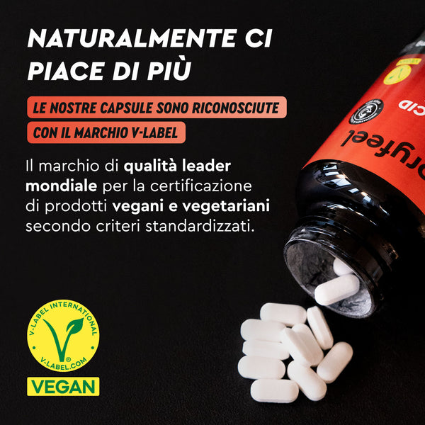 Aminoacidi complex vegan