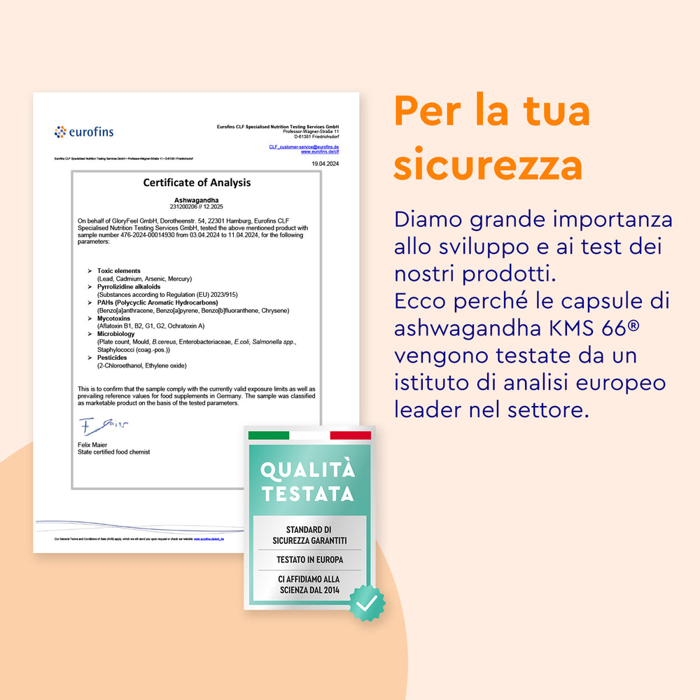 Ashwagandha KSM66 in capsule certificato