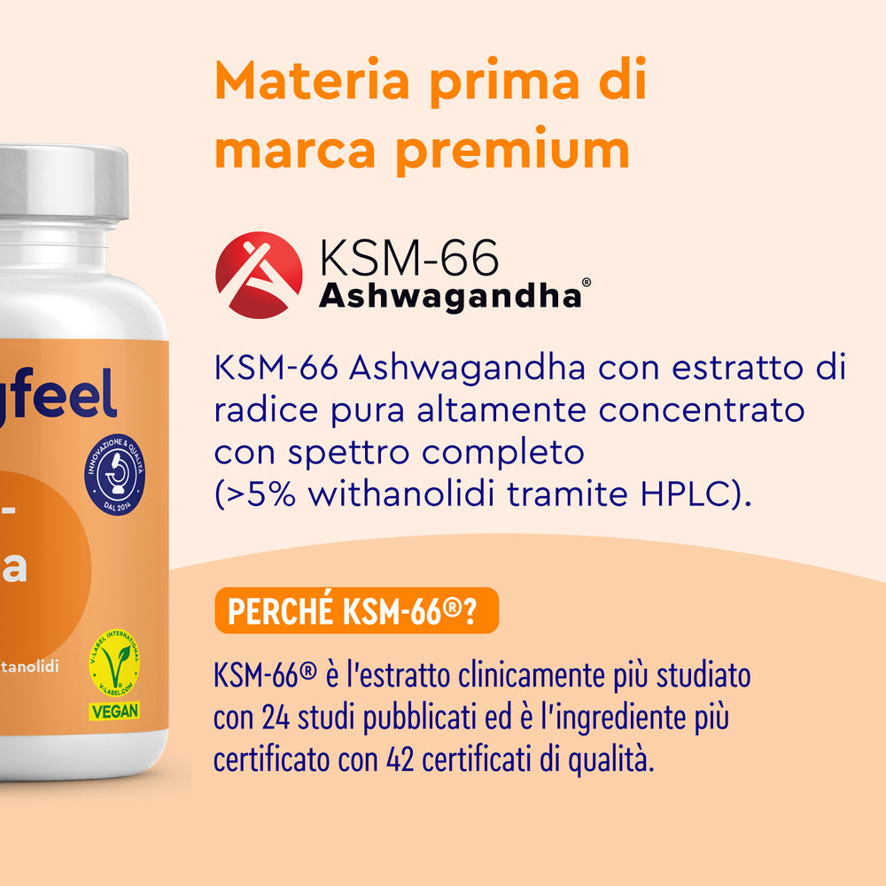 Ashwagandha KSM66 in capsule materia prima