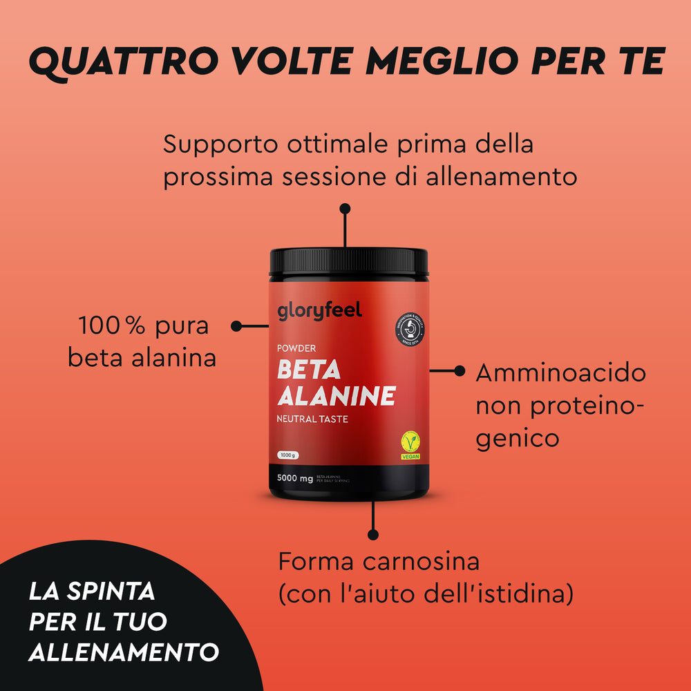 Beta alanina in polvere  effetti
