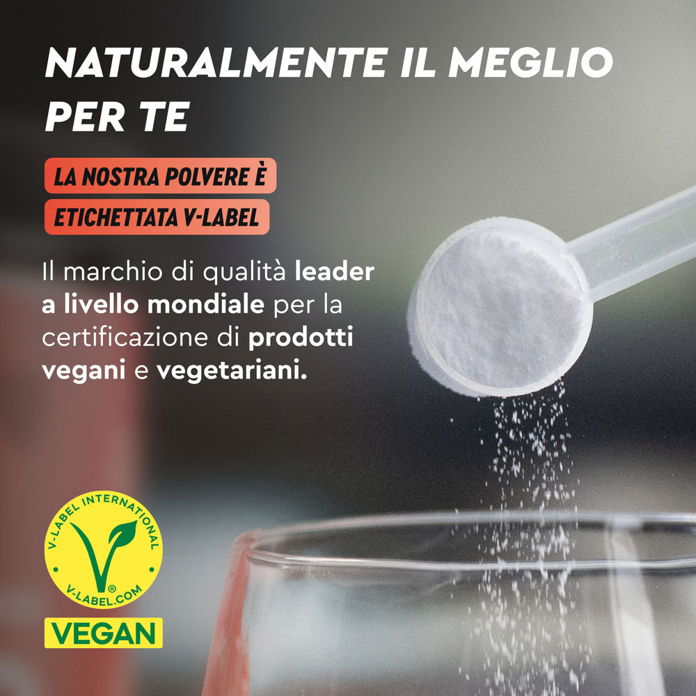 Beta alanina in polvere vegan