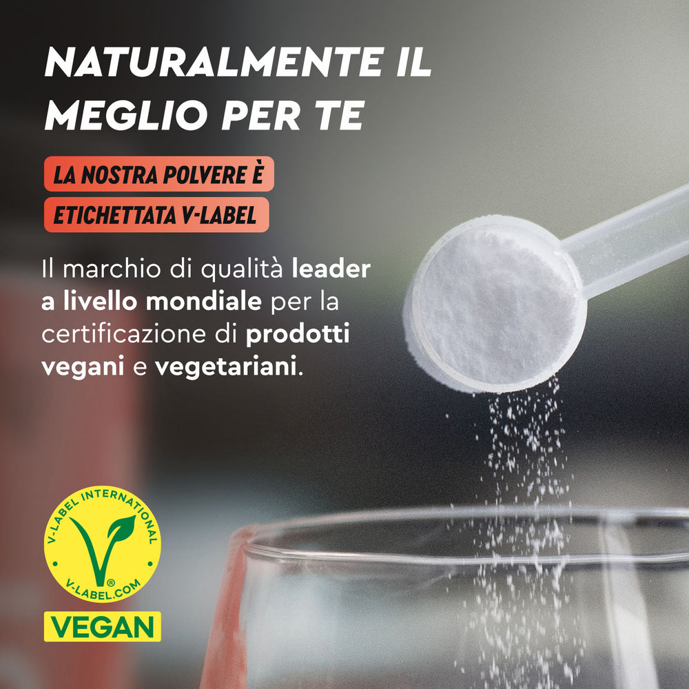 L-citrullina malato in polvere vegan