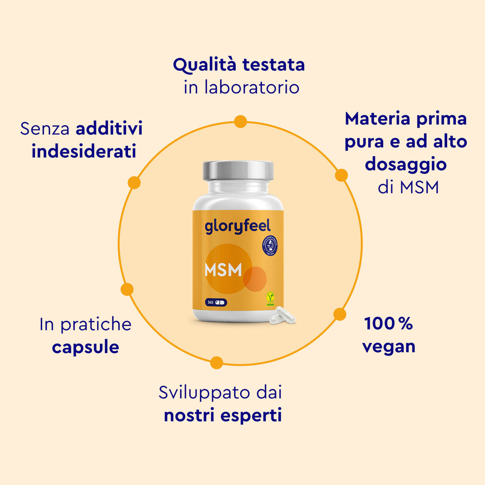 MSM in capsule caratteristiche