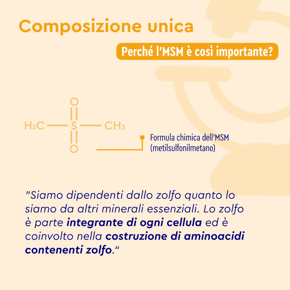 MSM in capsule formula