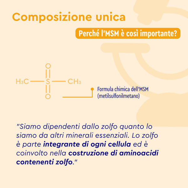 MSM in capsule formula