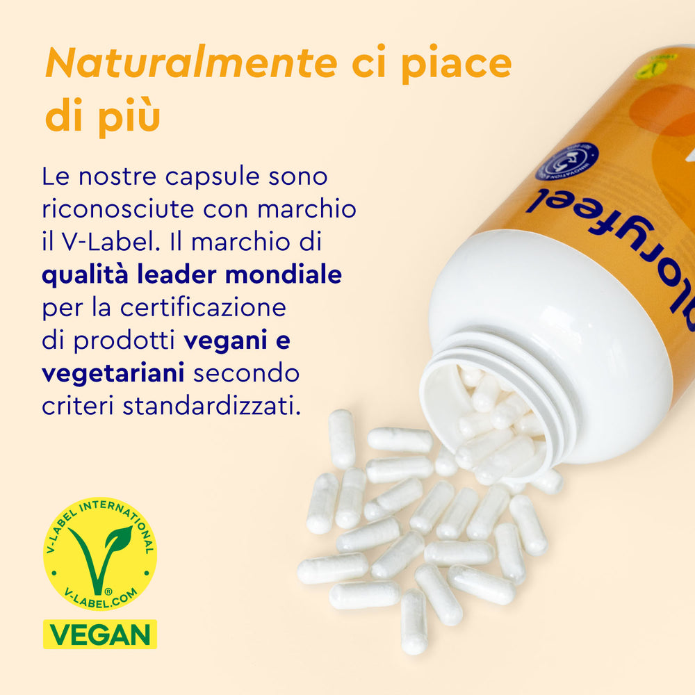 MSM in capsule vegano