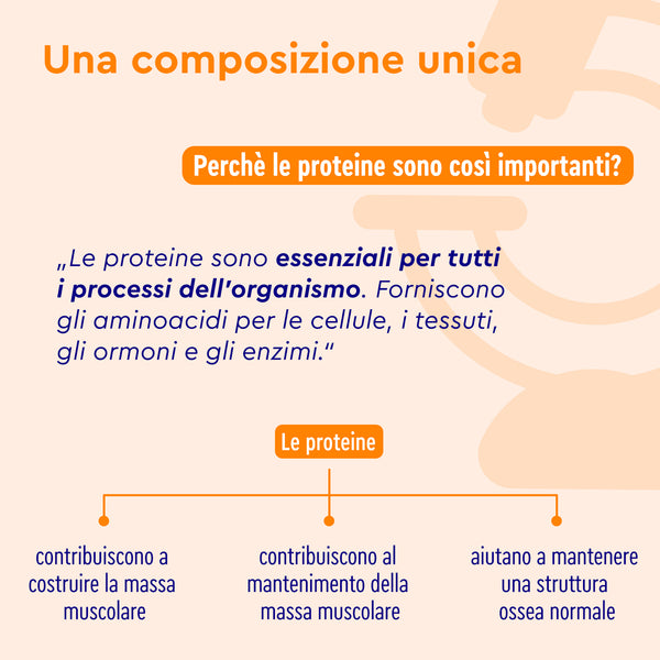 Proteine in polvere alla cannella: composizione
