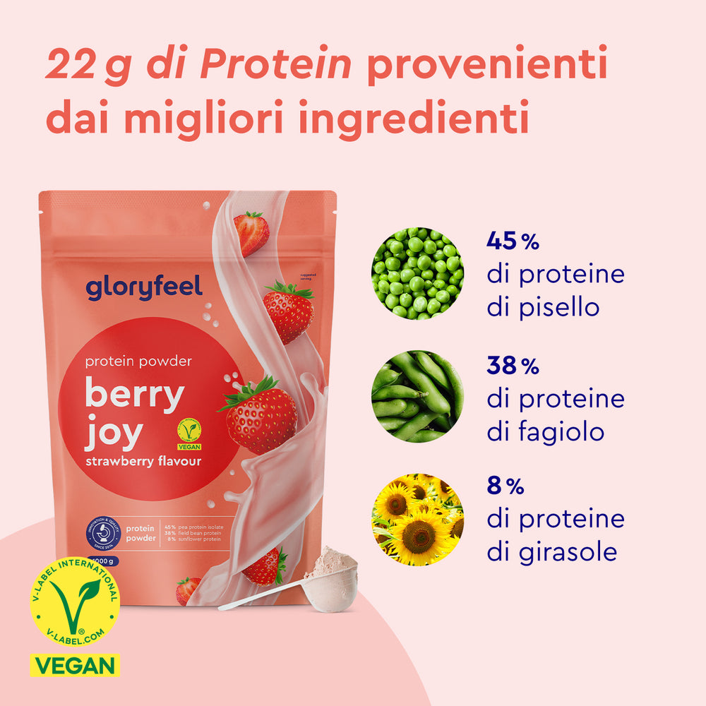 Ingredienti delle proteine in polvere vegan 