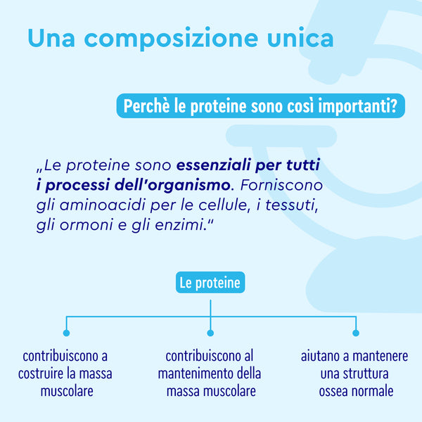Proteine in polvere gusto biscotto composizione