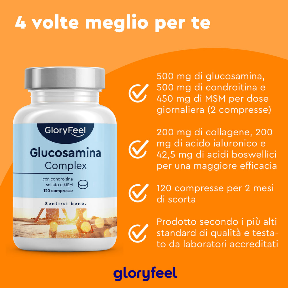 Immagine di una bottiglia di integratore GloryFeel GmbH Italy Glucosamina +Condroitina + MSM + Vitamina D3, che evidenzia la sua miscela di glucosamina, condroitina, MSM, collagene e acido boswellico. Arricchito con vitamina D3 per ulteriori benefici. Contiene 120 capsule.